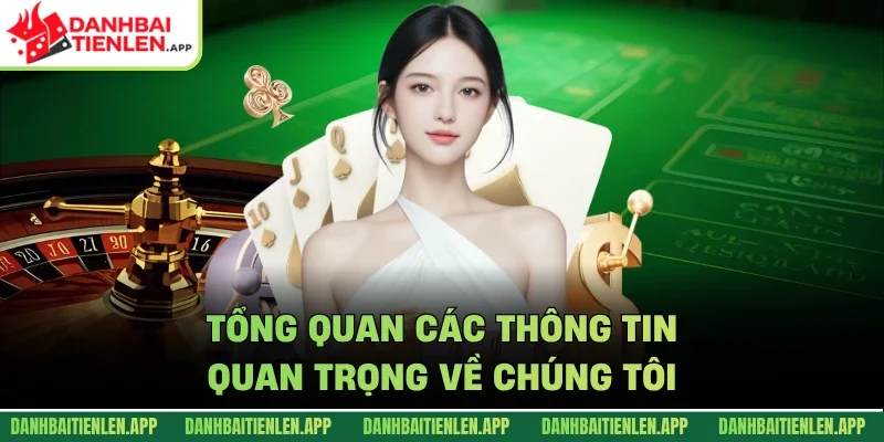 Tổng quan các thông tin quan trọng về chúng tôi